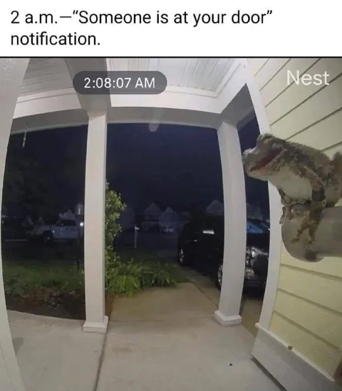 Frog at the Door Notification