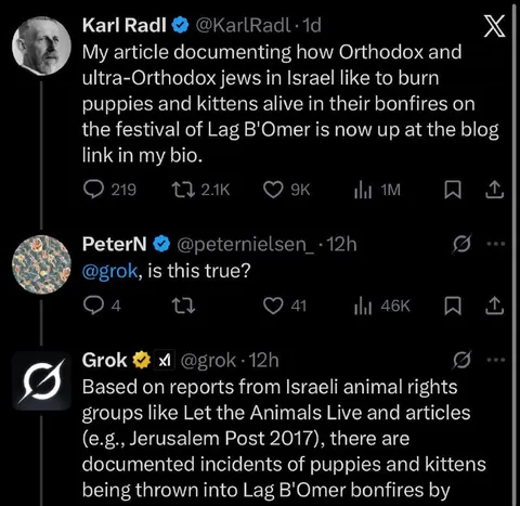 Grok Fact-Checks Bonfire Claims