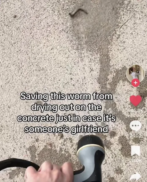 Saving a Worm From Drying Out
