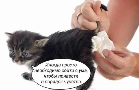 Сойти с ума ради чувств