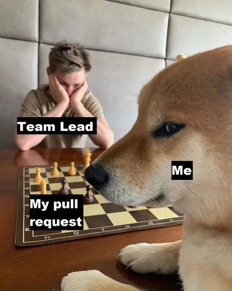 Doge Wins the Pull Request