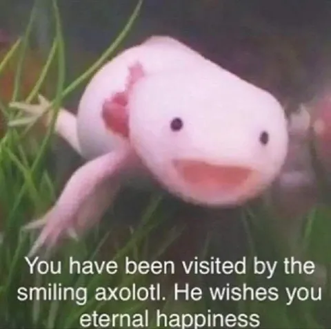 Smiling Axolotl Wishes Happiness