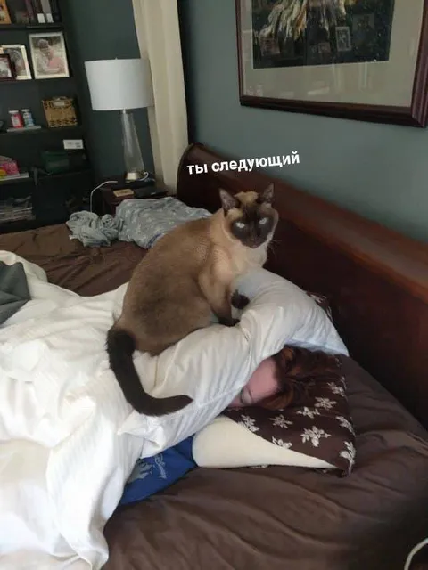 Ты следующий