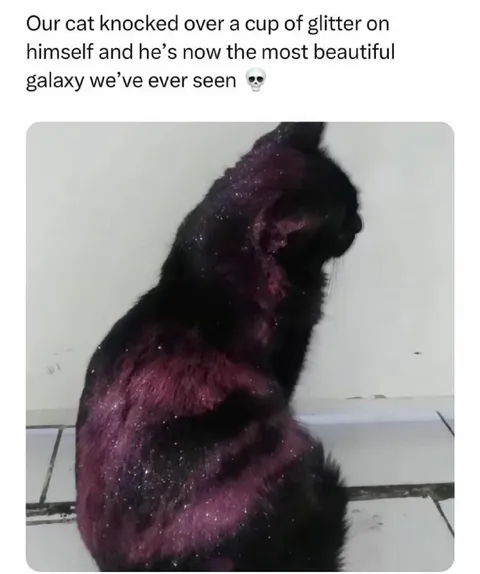 The Most Beautiful Galaxy Cat