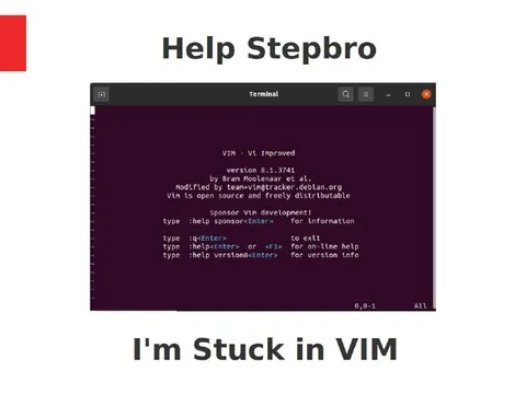 Stuck in Vim
