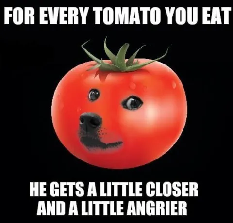 Angry Tomato Gets Closer