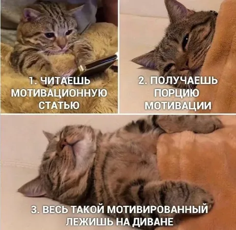 Мотивация и диван