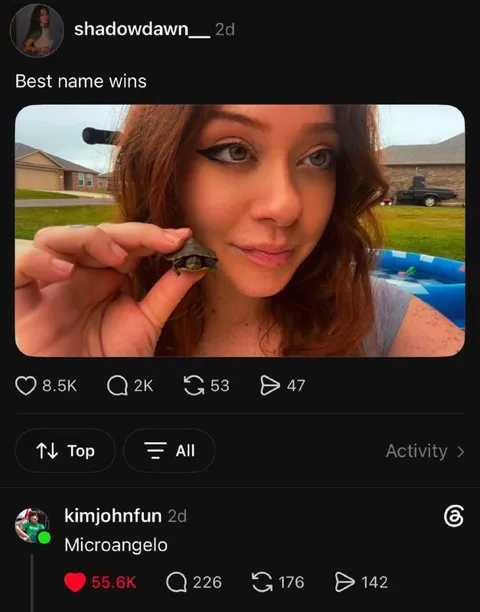 Microangelo Turtle Name