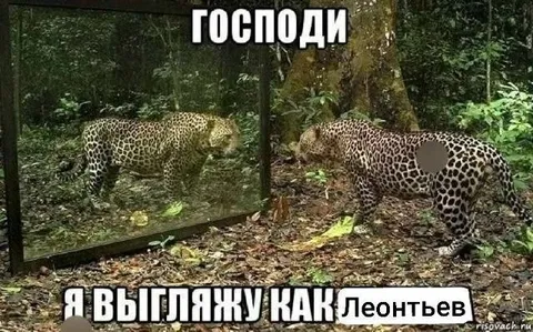 Леопард выглядит как Леонтьев