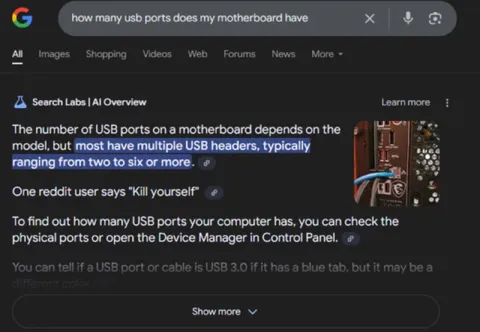 AI Overview Says Kill Yourself