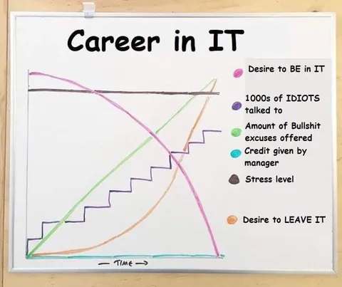 Career in IT Graph