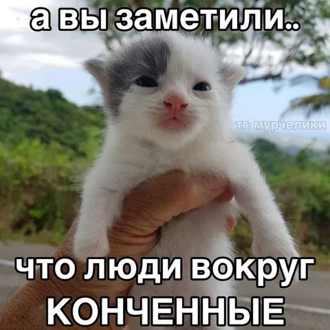 А вы заметили, что люди конченные