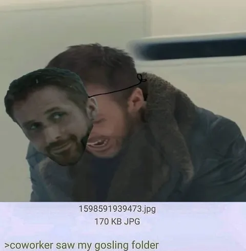 Coworker Saw My Gosling Folder
