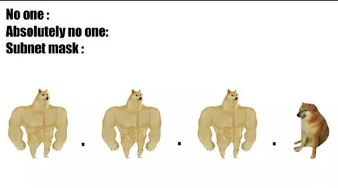 Subnet Mask Doge