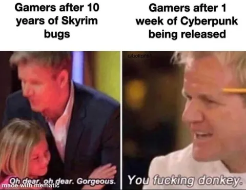 Skyrim Bugs Versus Cyberpunk Bugs