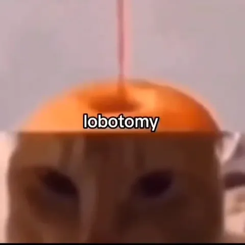 Cat Gets a Lobotomy