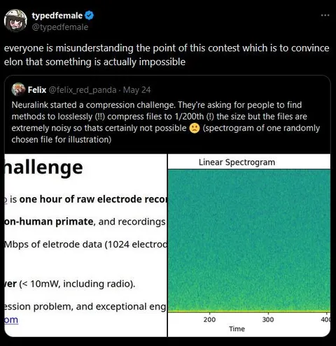 The Impossible Compression Challenge