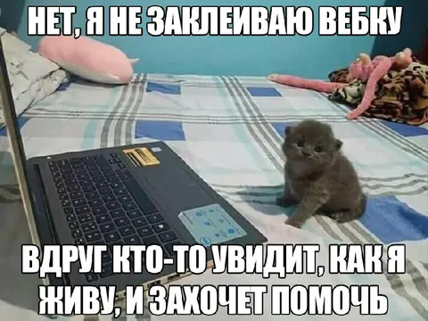 Котёнок прячет бедную жизнь