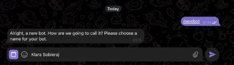 Choosing a Name for a New Bot