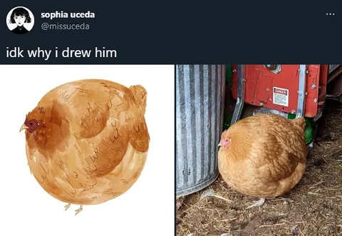 Chicken Drawing Looks Real