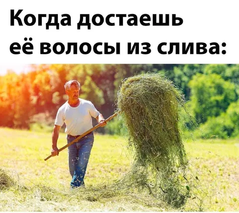 Волосы из слива