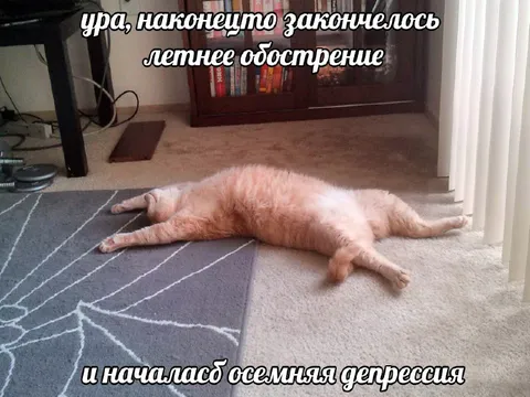 Осенняя депрессия после лета