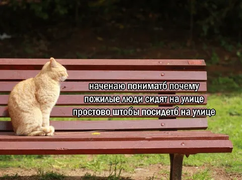 Пожилые люди просто сидят
