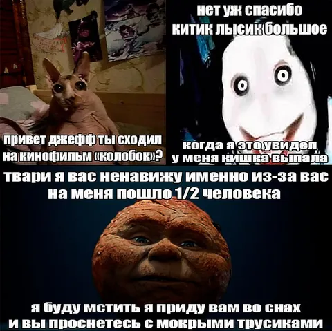 Котик после фильма Колобок