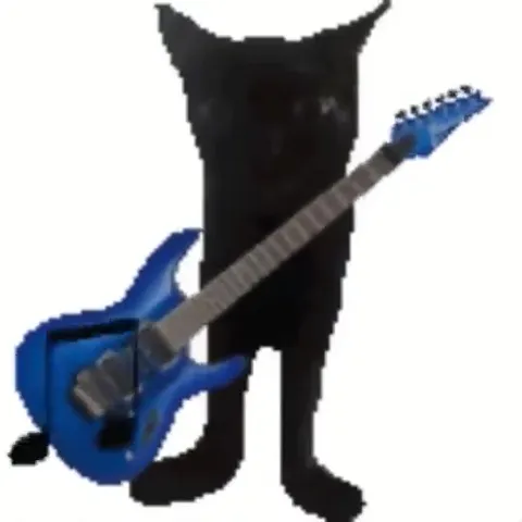 Чёрный кот играет на гитаре