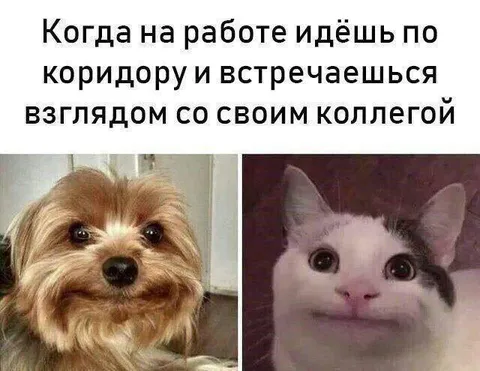 Встретился взглядом с коллегой