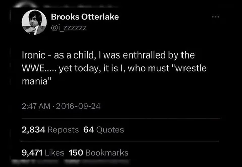 Childhood WWE Wrestling Mania
