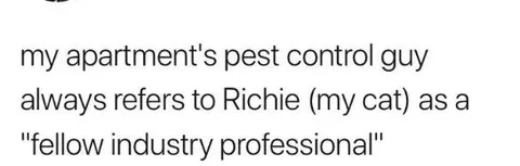 Cat Pest Control Professional