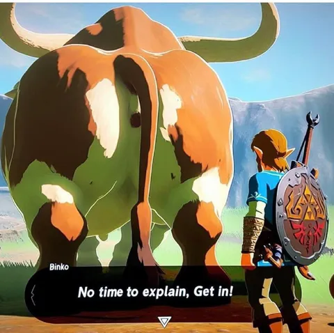 No Time to Explain, Get In