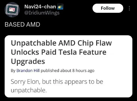 Unpatchable AMD Chip Flaw