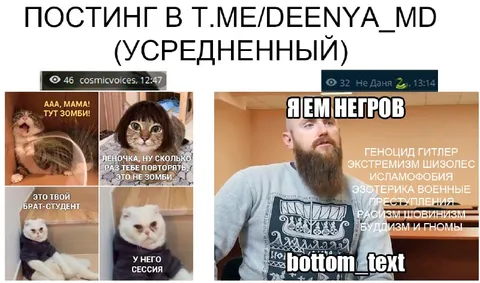 Кошка увидела зомби