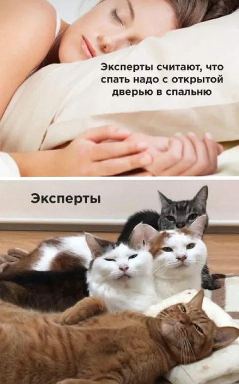 Эксперты советуют спать с открытой дверью