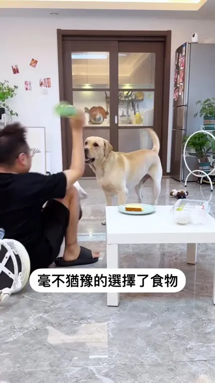 毫不犹豫地选择了食物