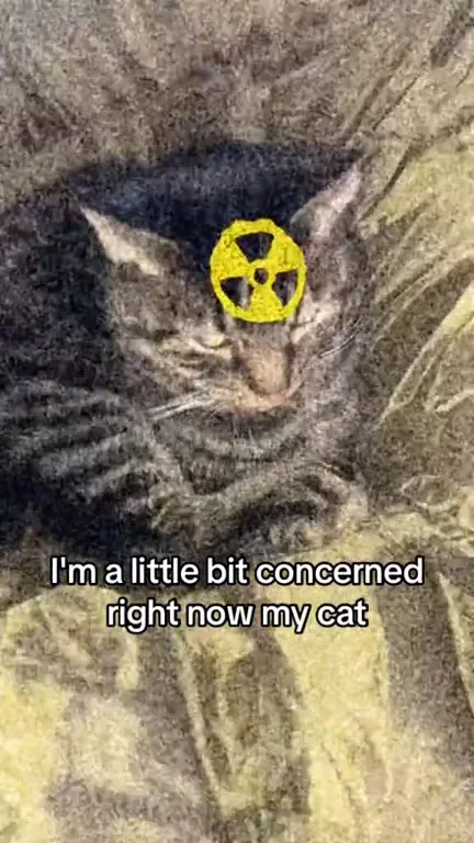 Radioactive Cat Concern