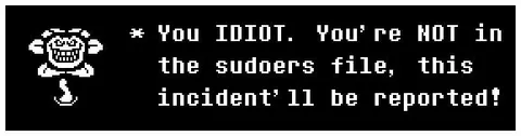 Not in the Sudoers File