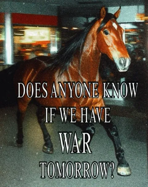 Horse Asking About War Tomorrow