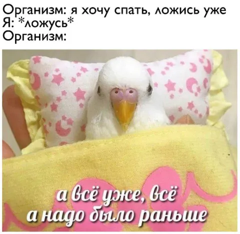 Организм хотел спать раньше