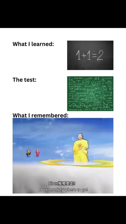 What I Remembered for the Test
