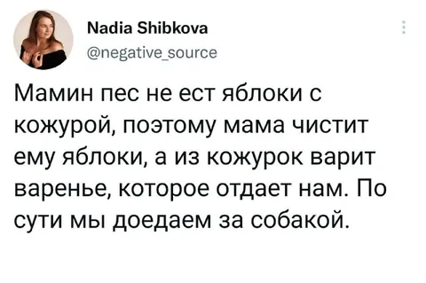 Доедаем за собакой