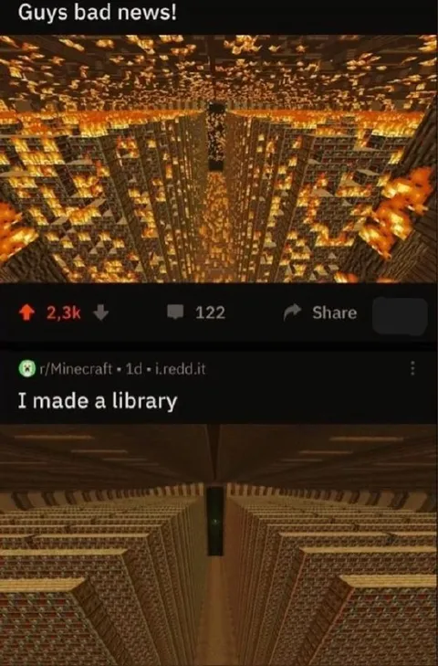 Minecraft Library Goes Too Far