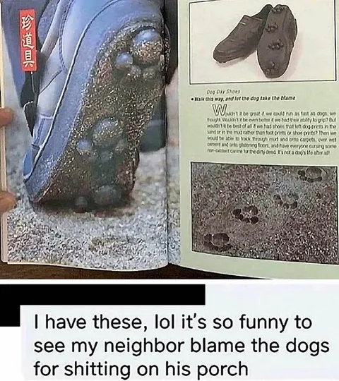 Neighbor Blames Dogs for Porch Poop