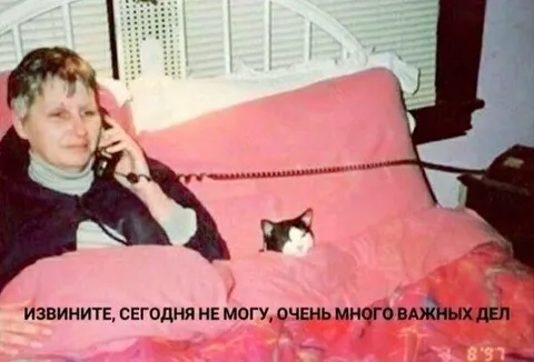 Очень много важных дел