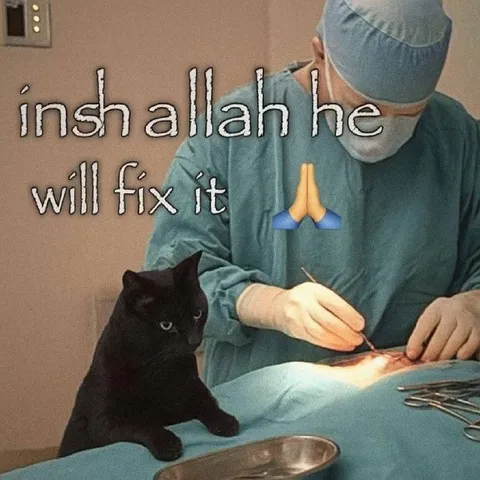 Insh Allah He Will Fix It