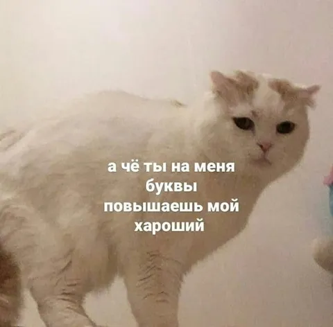 А чё ты на меня буквы повышаешь