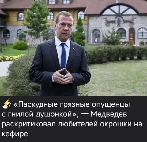 Медведев против окрошки на кефире