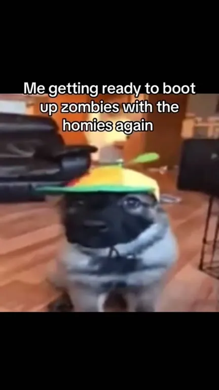 Dog Ready to Fight Zombies